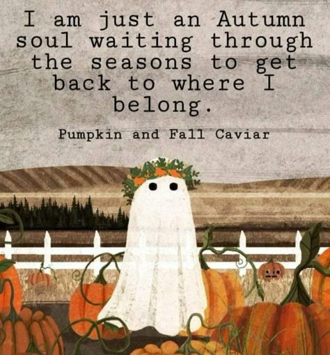 October Quotes Halloween, Ghost Quote, Quotes Halloween, Weather Aesthetic, October Quotes, Fall Ghost, Happy Autumn, Autumn Quotes, Halloween Quotes