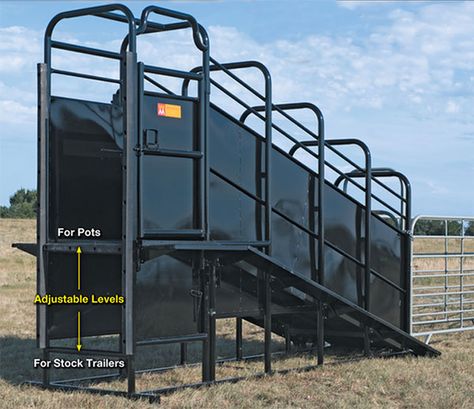 Livestock Pens, Cattle Guard, Cattle Facility, Cattle Corrals, Stock Trailer, Ranch Ideas, Mini Cows, Cattle Ranching, Ranch Life