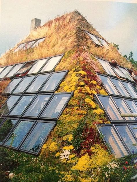 Earth Sheltered Homes, Earthship Home, Earth Sheltered, Cob House, Earth Homes, Natural Building, Earthship, Eco House, Futurism