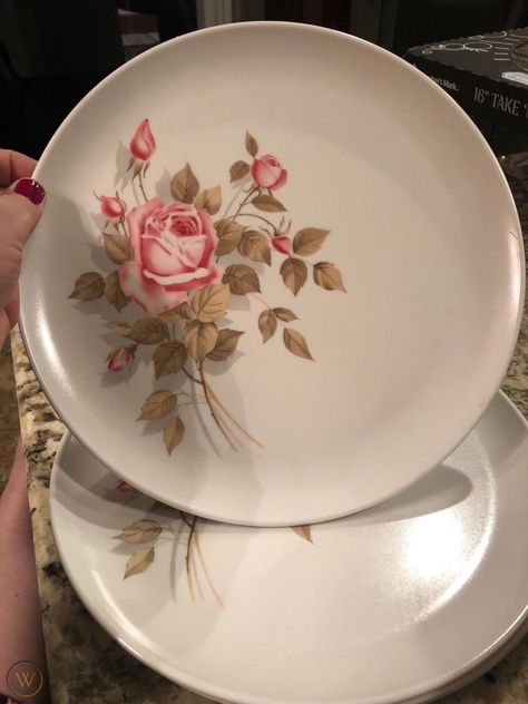 Melamine Dishes, Plastic Dinnerware, Rose Pattern, First Class, Vintage Patterns, Dinner Plates, Pink Rose, Pink Roses, Dinnerware