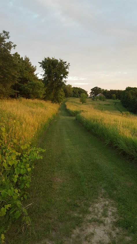 Top pasture trail- stueben wisconsin Wisconsin Countryside, Wisconsin Landscape, Jeneva Rose, Wisconsin Summer, English Summer, Adventure Aesthetic, Green Pasture, Countryside House, Country Landscaping