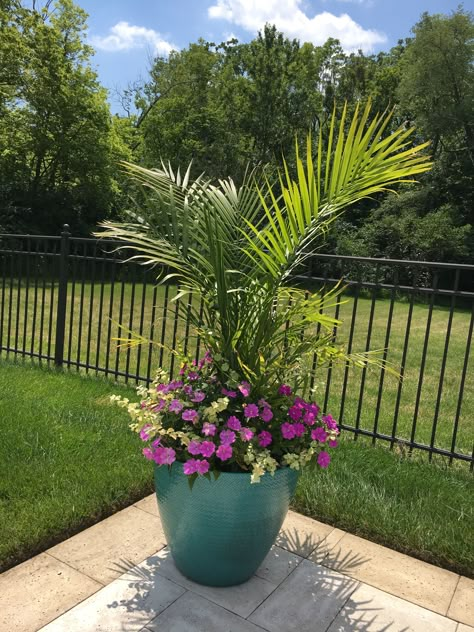 Tall Outdoor Decor, Palm Tree Container Ideas, Planters With Palms And Flowers, Palm In Pots Outdoor, Pool Patio Planter Ideas, Large Planters Around Pool, Poolside Plants Potted, Palm Plants Outdoor, Pool Planter Ideas Full Sun