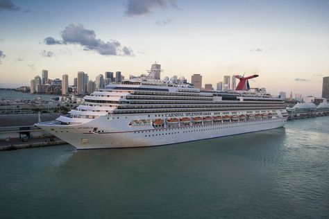 Carnival Splendor Port Miami Carnival Freedom Ship, Carnival Radiance Ship, Carnival Spirit Ship, Carnival Splendor, Carnival Conquest Cruise Ship, Carnival Festival, Caribbean Carnival, Carnival Cruise Line, Carnival Cruise