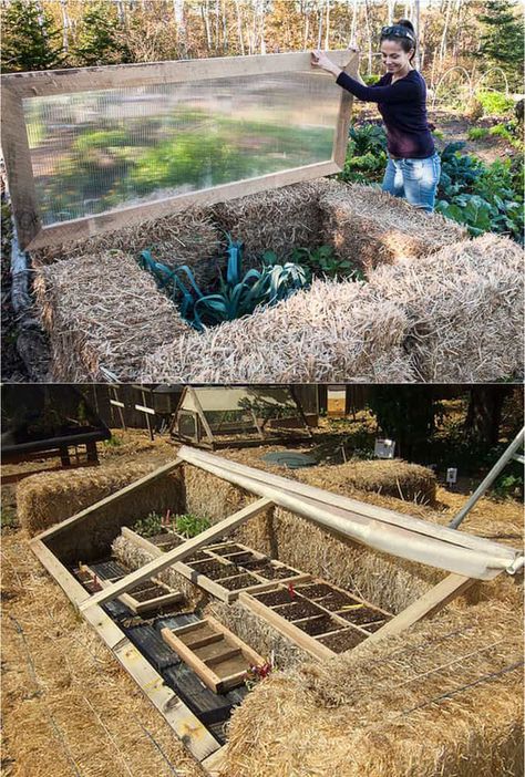 45 BEST tutorials, free building plans & ideas on how to build easy DIY greenhouses, simple cold frames, garden tunnels & hoops with low cost materials! An ultimate guide! - A Piece of Rainbow #greenhouse #backyard #gardens #gardening #gardeningtips #homestead #homesteading #urbangardening #gardendesign #gardenideas #diy #gardeningtips #upcycle #shed #sheshed gardening, homestead, backyard ideas, winter, spring Rainbow Greenhouse, Greenhouse Backyard, Serre Diy, Diy Greenhouses, Cold Frame Diy, Cold Frame Gardening, Mini Serre, Cold Frames, Diy Greenhouse Plans