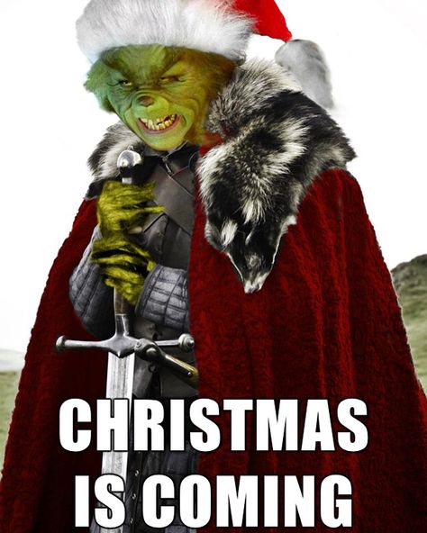 Brace yourselves! Christmas is almost here! Don't be a grinch about holiday shopping, come visit us at Dry Falls Outfitters today and let us help make it easy for you to choose a last minute gift! Funny Merry Christmas Memes, Tuesday Christmas, Grinch Memes, Dancing Mice, Merry Christmas Meme, Funny Christmas Photos, Monday Quote, Game Of Thrones Meme, Minions Images