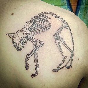 cat skeleton Cat Bones Tattoo, Cat Jaw Bone Tattoo, Animal Skeletons Tattoo, Zombie Cat Tattoo, Scary Cat Tattoo, Cat Skeleton Drawing, Skeleton Cat Tattoo, Cat Skeleton Tattoo, Animal Skeleton Tattoo