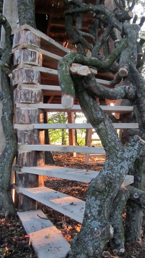 Moseley Old Hall, Rustic Forest Tree House Play Area Spiral Ladder Attic Tree House, Awesome Tree Houses Rustic, Spiral Ladder, Awesome Tree Houses, Woods Hangout Spot, Forest Fort, Forest Tree House, Real Tree House For Kids, Forest Treehouse Aesthetic