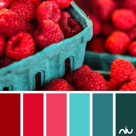 color palette Colors That Go With Bright Red, Raspberry Colour Palette, Color Palettes With Red, Food Colour Palette, Raspberry Decor, Raspberry Color Palette, Food Color Palette, Food Colors Palette, Red Color Pallets