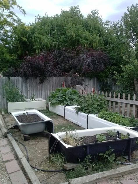 Bath tubs as raised beds Bathtub Garden Planters, Bathtub Garden Ideas, Worm Farm Diy, Garden Bathtub, Gardening For Dummies, Outdoor Tub, Outdoor Baths, Diy Raised Garden, Garden Tub