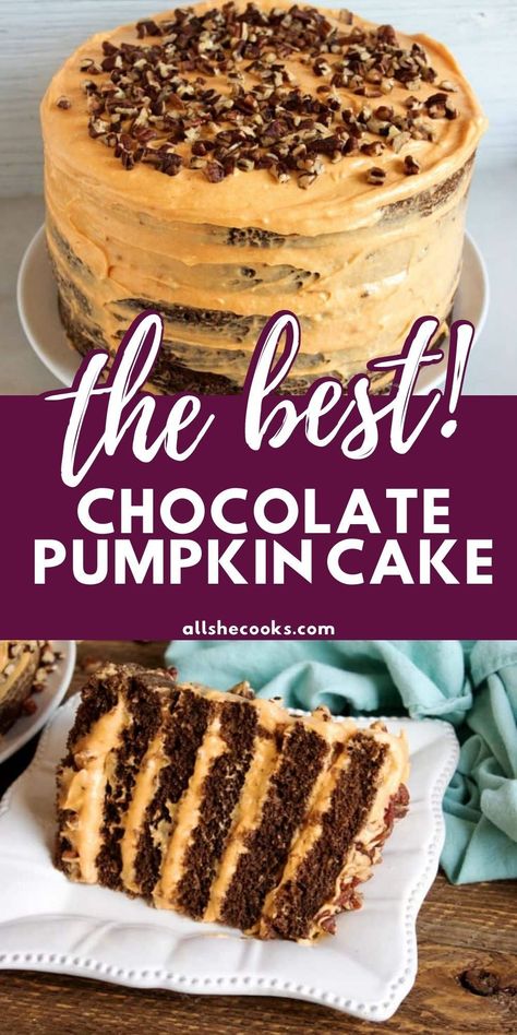 Pumpkin And Chocolate Cake Mix Recipes, Single Layer Pumpkin Cake, 3 Layer Pumpkin Cake, Midnight Pumpkin Layer Cake, Pumpkin Cake With Chocolate Ganache, Pumpkin Chocolate Cake, Layered Chocolate Cake, Perfect Cake Recipe, Easy Layer Cake