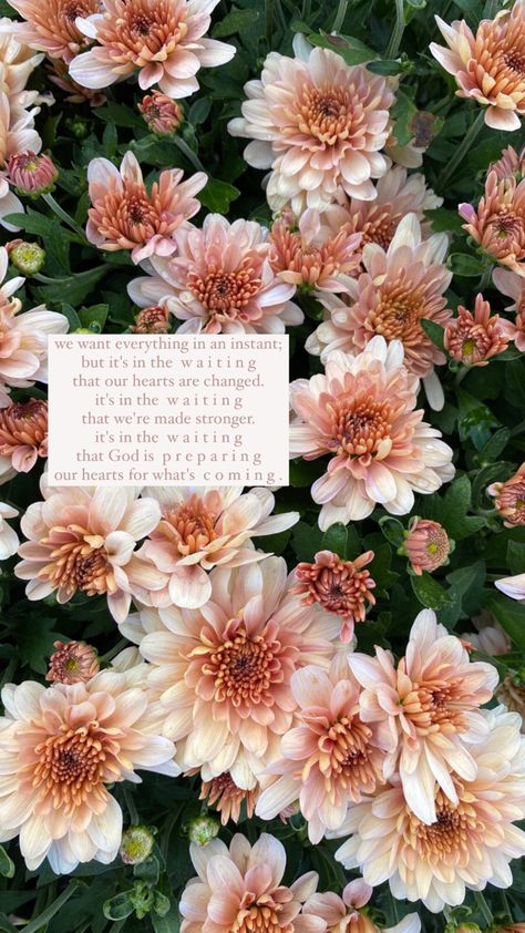 Womanly Tattoos, Bible Verse With Flowers, Bible Verse Wallpaper With Flowers, Bible Flower Quotes, Floral Scripture Wallpaper, God's Timing Is Perfect, Wait For The Lord, Bling Accessories, Floral Bible Verse