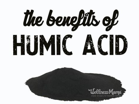 Benefits Of Vitamin A, Wellness Mama, Vitamin C Benefits, Humic Acid, Fulvic Acid, Natural Antibiotics, Folic Acid, Health Articles, Healthy Families