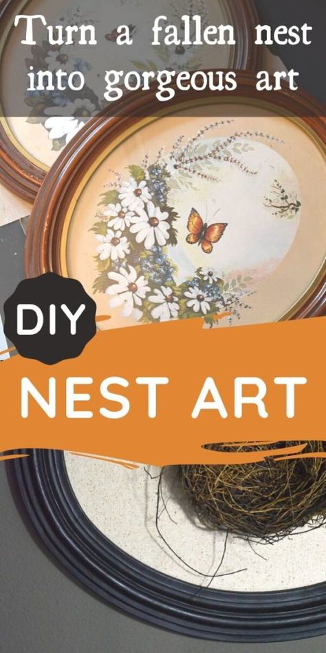 Turn a fallen bird nest into DIY art. This nature art project is a gorgeous craft you can make for your budget home decor with thrifted and found finds from nature. Display a fallen bird's nest in your home decor with style, it's easy! #nestdecor #springdecor #natureart #frameupcycle Bird Nest Art, Diy Nest, Upcycle Frames, Bird Nests Art, Nature Display, Wall Statement, Diy Crafts Vintage, Budget Home Decor, Nest Art