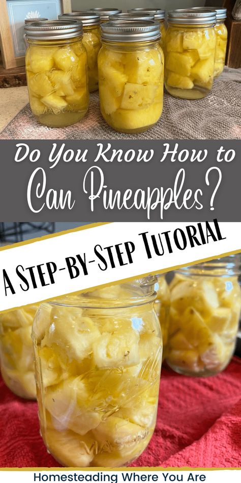 Canning Pineapples: A Step-by-Step Tutorial Canning Shelf, Canning Pineapple, Easy Canning, Pressure Canning Recipes, Canning Salsa, Fresh Pineapple, Canned Pineapple, Canning Tomatoes, Pressure Canning