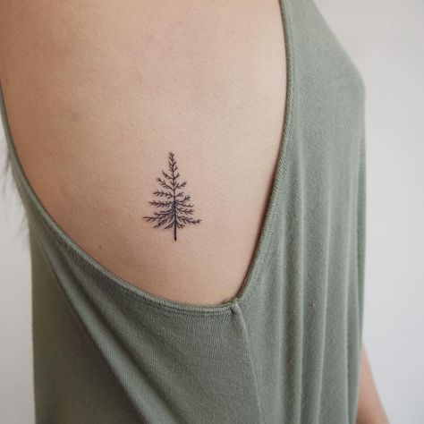 I love the idea of an evergreen tattoo as a symbol of something that remains strong throughout every season, it could represent faithfulness. Evergreen Tattoo, Small Feminine Tattoos, Science Tattoos, Tato Henna, Pine Tree Tattoo, Small Tattoos Simple, E Tattoo, Side Tattoos, Subtle Tattoos