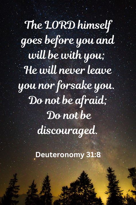 He Will Never Leave You Nor Forsake You, Deuteronomy 31:8 Scriptures, Peace Bible Verse, Deuteronomy 31 8, Deuteronomy 31, Encouraging Thoughts, Motivational Bible Verses, Bible Verses About Faith, Stand Firm