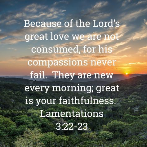 Lamentations 3:22-23 Lamentations 3 22 23, Great Is Your Faithfulness, Who Is Jesus, Our Father In Heaven, Hand Of God, Awesome God, Scripture Pictures, Encouraging Scripture, Daily Bible Verse