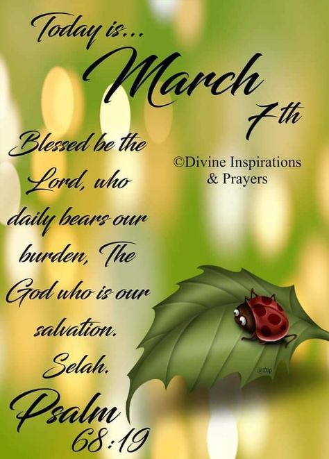 March Blessings, Jewish Holiday Calendar, March Images, March Quotes, Good Morning Happy Sunday, Daily Wisdom, Good Morning God Quotes, Blessed Quotes, Daily Word