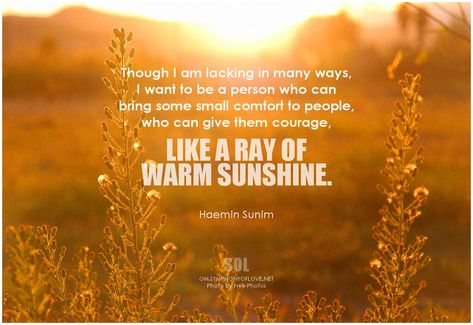 Though I am lacking in many ways, I want to be a person who can bring some small comfort to people, who can give them courage, like a ray of warm sunshine. - Haemin Sunim  More Haemin Sunim Quotes and Sayings: https://lovequotes.symphonyoflove.net/haemin-sunim-love-quotes-and-sayings.html  #HaeminSunim #bethechange #quote #quoteoftheday #inspiration #inspirational #InspirationalQuotes #MondayMotivation Ray Of Sunshine Quotes, Human Sunshine Quotes, Birthday Cake Gif, Sun Quotes, Sunshine Quotes, Change Quotes, Monday Motivation, Wise Quotes, Beautiful Quotes