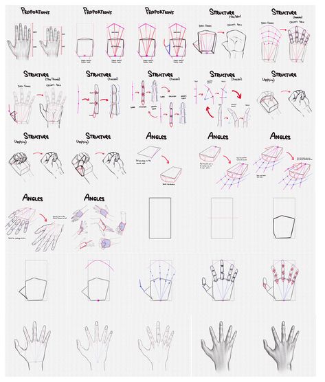 How to Draw Hands – A Step by Step Guide – Artlex Hands Step By Step, Hand Tutorial, Step By Step Sketches, How To Draw Fingers, Hand Anatomy, Anatomy Images, Hands Tutorial, Drawing Room Interior Design, Draw Hands