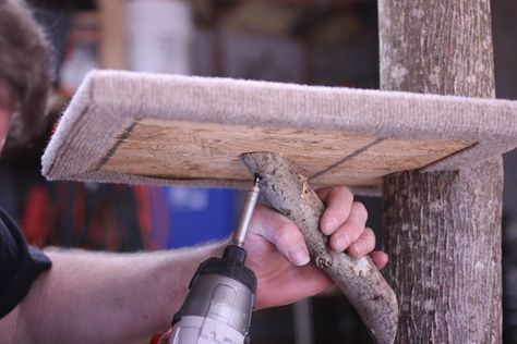 Build a Cat Tree Using Real Tree Branches | Your Old Pal Mick Kitten Trees Cat Towers, Cat Tree House Outdoor, Cat Trees Diy Easy Homemade, Cat Tree Diy Plans, Diy Cat Tree Plans, Cat Trees Diy Easy, Outdoor Cat Tree, Cat Trees Homemade, Custom Cat Trees