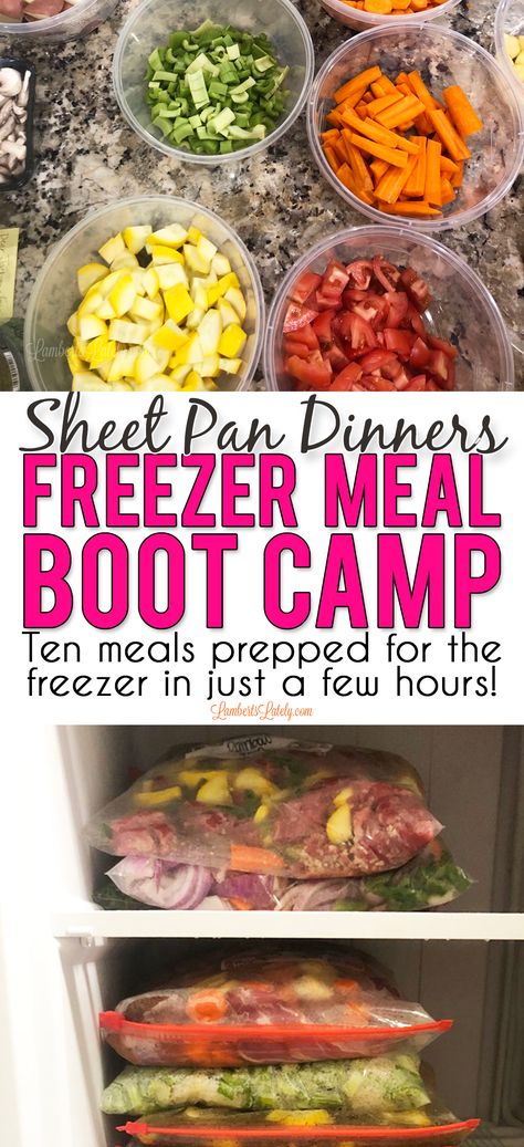 Sheet Pan Dinners Freezer Meal Boot Camp - Lamberts Lately Recipes For Chicken, Budget Freezer Meals, Healthy Freezer Meals, Sheet Pan Suppers, Pan Chicken Fajitas, Sheet Pan Dinners Recipes, Freezer Meal Prep, Recipe Sheets, Pan Dinners