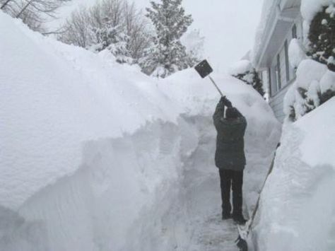 Snow Shoveling Humor, Winter Humor, Snow Humor, Snow Storms, Minnesota Winter, Shoveling Snow, Todays Weather, Snow Pictures, Rapid City