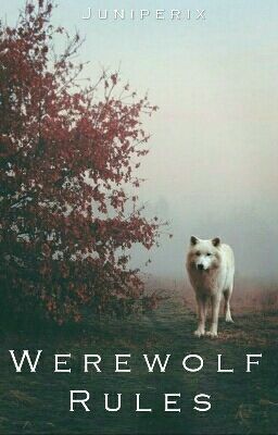 #wattpad #werewolf Rules of the werewolf world Werewolf Alpha Aesthetic, Werewolf Prompts, Werewolf Stories, The Werewolf, Fantasy Fiction, The Story, Wattpad, Reading