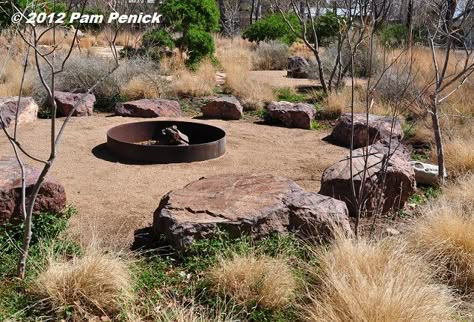 For a dry garden without lawn, how about a steel firepit surrounded by a council ring of boulders for seating, decomposed-granite "patio," and ornamental grasses and small trees? Outdoor Setting Ideas, Metal Fire Pit Designs, Decomposed Granite Patio, Outdoor Fire Pit Seating, Australian Native Garden, Fire Pit Landscaping, Metal Fire Pit, Types Of Fire, Fire Pit Seating