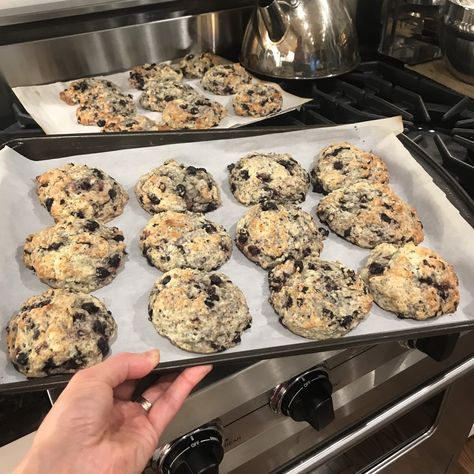 Mixed Berry Scones Recipe | Health Stand Nutrition Mixed Berry Scones Recipe, Mixed Berry Scones, Berry Scones Recipe, Berry Scones, Drop Scones, Scone Mix, Frozen Berries, Scones Recipe, Tea Biscuits