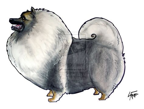 Keeshond Tattoo, Pet Caricature, Animal Caricature, Baby Dogs, Custom Pet Portraits, Caricatures, Pet Portraits, Animal Pictures