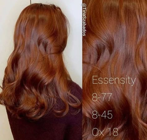 90s Copper Hair, Chocolate Cooper, Cooper Hair, Cheveux Oranges, Red Hair Inspo, Ginger Hair Color, Hair Color Auburn, Hair Shades, Hair Color And Cut