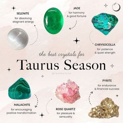 Taurus Journal, Taurus Season, Taurus Traits, Taurus Zodiac Facts, Taurus Quotes, Astrology Taurus, Taurus Women, Gemini Season, Animal Illustration Art