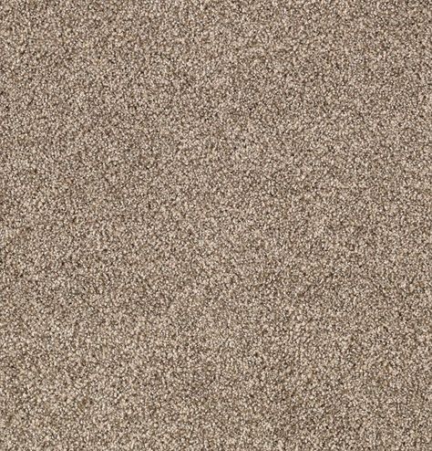 Karastan Upscale Living Carpet | RC Willey Coloring Combinations, Living Carpet, Karastan Carpet, Brown Carpet, Pet Urine, Plush Carpet, Design Advice, Carpet Flooring, Fine Furniture