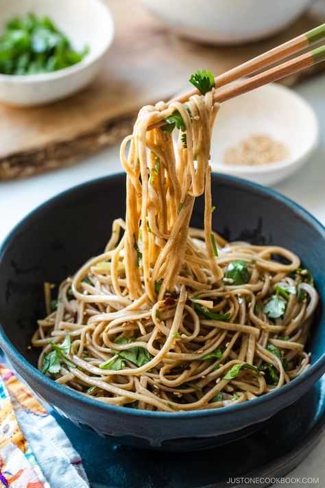 Enjoyed chilled or at room temperature, this Soba Noodle Salad tossed in a honey-soy dressing is exactly what you need for a quick, light meal. Spicy Soba Noodles, Asian Cabbage Salad, Soba Salad, Soy Dressing, Soba Noodle Salad, Just One Cookbook, Soba Noodles Salad, Asian Meals, Soba Noodle