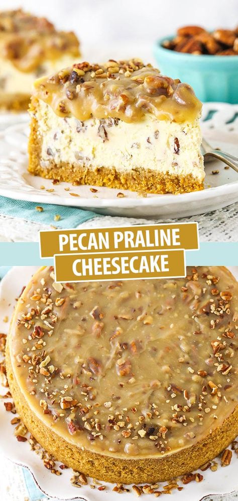 Pecan Praline Cheesecake, Pecan Praline Sauce, Praline Cheesecake, Praline Sauce, Pecan Praline, Pecan Cheesecake, Pecan Pralines, Cheesecake Desserts, Oreo Dessert