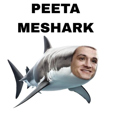 Peeta Mellark Brainwashed, Peeta Mellark As A Rock, Peeta Mellark Funny Pictures, Josh Hutcherson Cursed, Peeta Mellark Full Body Pic, I Love Peeta Mellark, Peeta Mellark Tattoo, Josh Hutcherson Peeta Mellark, Peeta Mellark Aesthetic Wallpaper