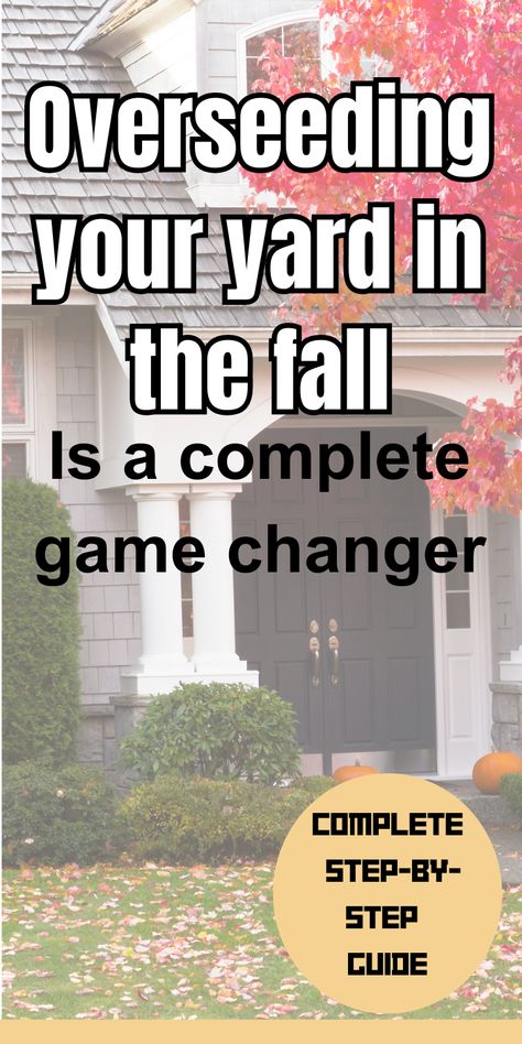 House surrounded by a yard dotted with autumn leaves, underscoring the fall practice of overseeding for a lush lawn. Grass Maintenance Lawn Care, Fall Fertilizer For Lawn, How To Fix Lawn, Fall Lawn Care Schedule, Fall Lawn Care Tips, Fall Yard Maintenance, Grass Care Tips Green Lawn, Reseeding Lawn Fall, Fall Grass Maintenance