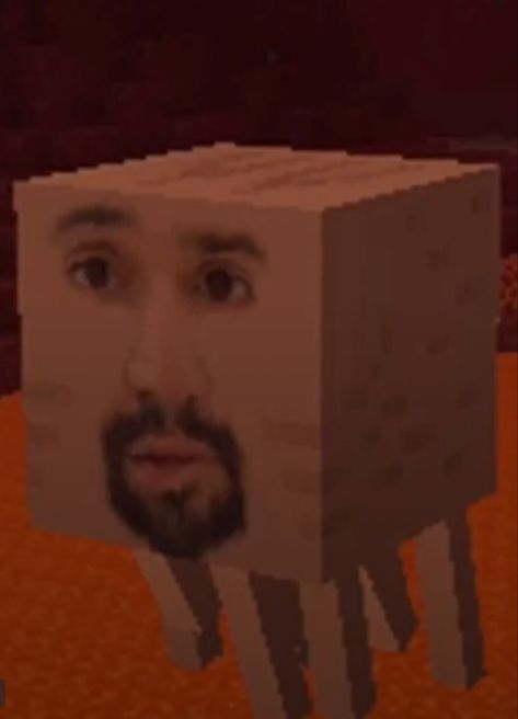 You have found a ✨last✨ Cursed Image, Manuel Miranda, Lin Manuel Miranda, Lin Manuel, In The Middle, The Middle, Minecraft