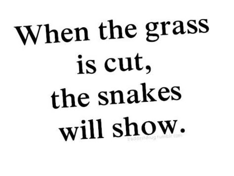 When the grass is cut, the snakes will show Snake In The Grass, Dope Quotes, Wise Words Quotes, Karma Quotes, Toxic People, Real Life Quotes, Self Quotes, Deep Thought Quotes, Quotable Quotes