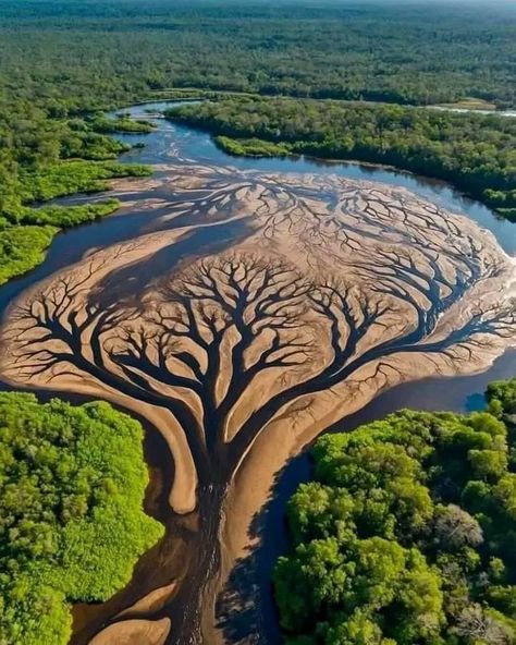 Home / X Zimbabwe Photography, Zambezi River, Zimbabwe, The Mighty, Botswana, Zambia, Beautiful Nature, Water, Travel