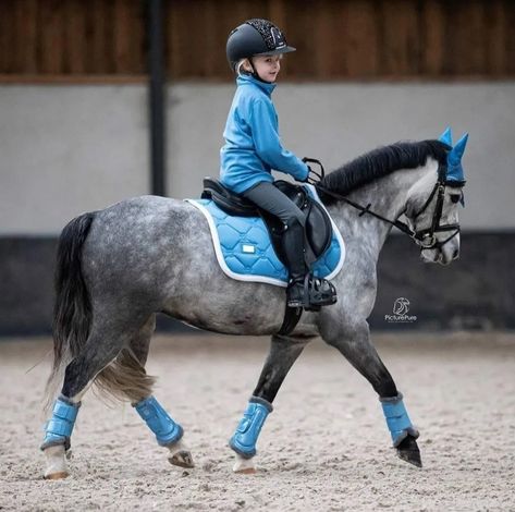 English Trail Riding, Barbie Horse, Pony Rider, Welsh Pony, Cute Horse Pictures, Riding School, Cute Dogs Images, Mini Pony, Dream Horse