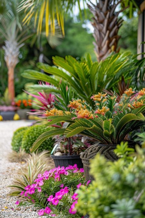 Sago Palm Landscaping Ideas for Exotic Gardens Sago Palm Landscaping, Palm Landscaping Ideas, Palm Landscaping, Palm Trees Garden, Rock Yard, Florida Landscape, Florida Landscaping, Sago Palm, Palm Garden