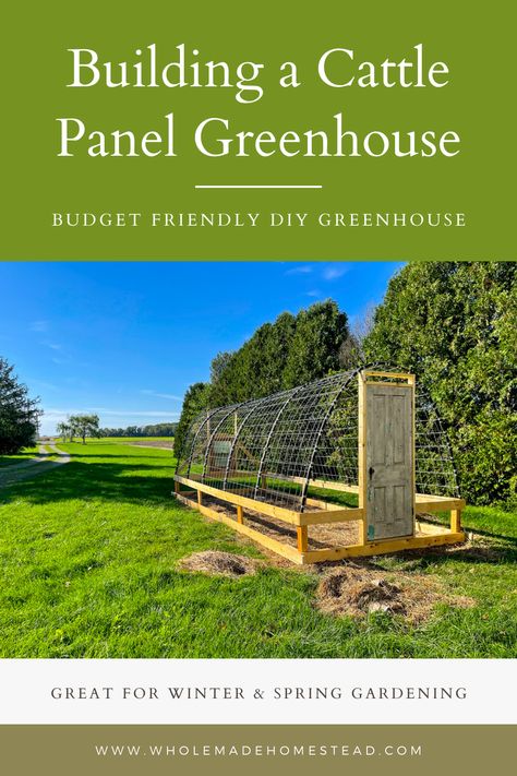 Diy Greenhouse Garden Beds, Cold Frame Garden, Greenhouse Frame Diy, Homestead Rescue Greenhouse, Cheapest Greenhouse, Cold Weather Greenhouse, A Frame Greenhouse, Hoophouse Greenhouse, Green Houses Diy