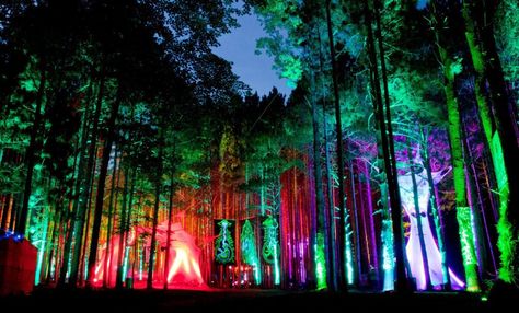 Electric Forest Festival, Northern Michigan. Multi-coloured lights shining on the trees. Forest Festival, Electric Forest Festival, Festival Ideas, Summer Music Festivals, Electric Forest, Psy Art, Festivals Around The World, Cloud 9, Oh The Places Youll Go