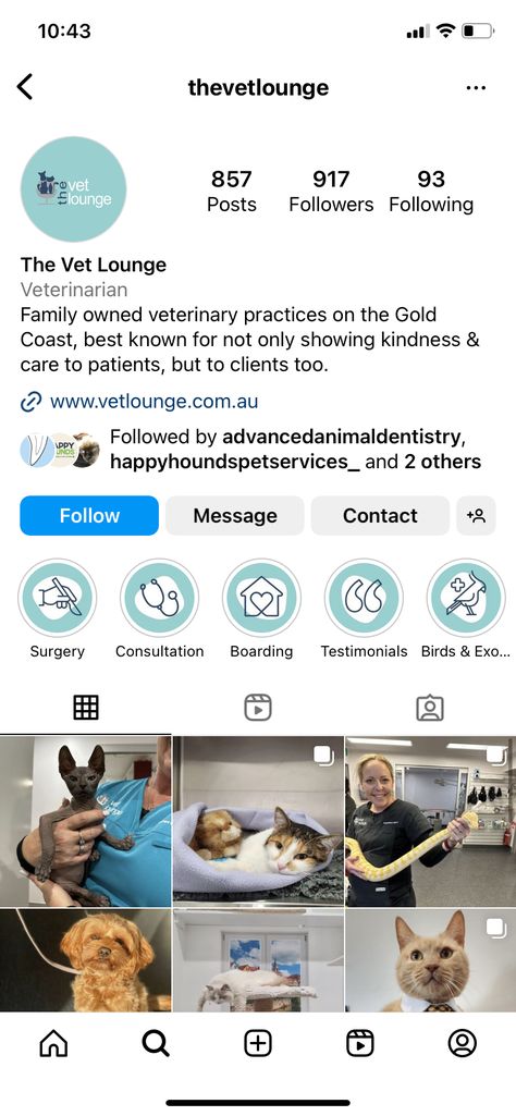 Vet Website, Vet Clinic, Vet Clinics, Name Logo, Logo Ideas, Veterinarian, Media Post, Gold Coast, Surgery