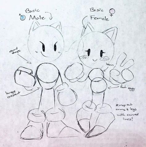 Sonic Ocs Base, How To Draw A Sonic Character, Sonic Characters Tutorial, Sonic Anatomy Poses, Sonic Character Anatomy, Sonic The Hedgehog Sketch Art, Sonic The Hedgehog Art Style, Sonic The Hedgehog Drawing Reference, How To Draw Sonic Body Base