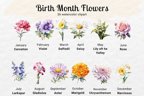 Free download with code: DIGI1S https://digi1s.com/downloads/birth-flower-watercolor-clipart/ Birth Flower Watercolor, Watercolor Studio, Cherry Blossom Background, Pixel Image, Flower Watercolor, Birth Month Flower, Month Flowers, Birth Month Flowers, Flower Clipart