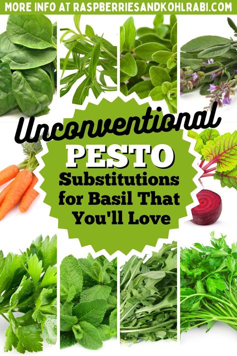 Different Types Of Pesto Recipes, No Basil Pesto, Herb Pesto Recipes, How Do You Make Pesto, Celery Pesto, Hummus And, Parsley Pesto Recipe, Souse Recipe, Herb Pesto