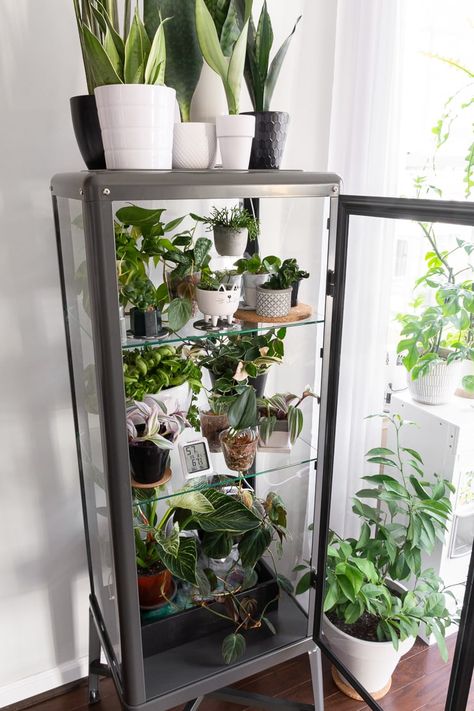 Diy mini greenhouse